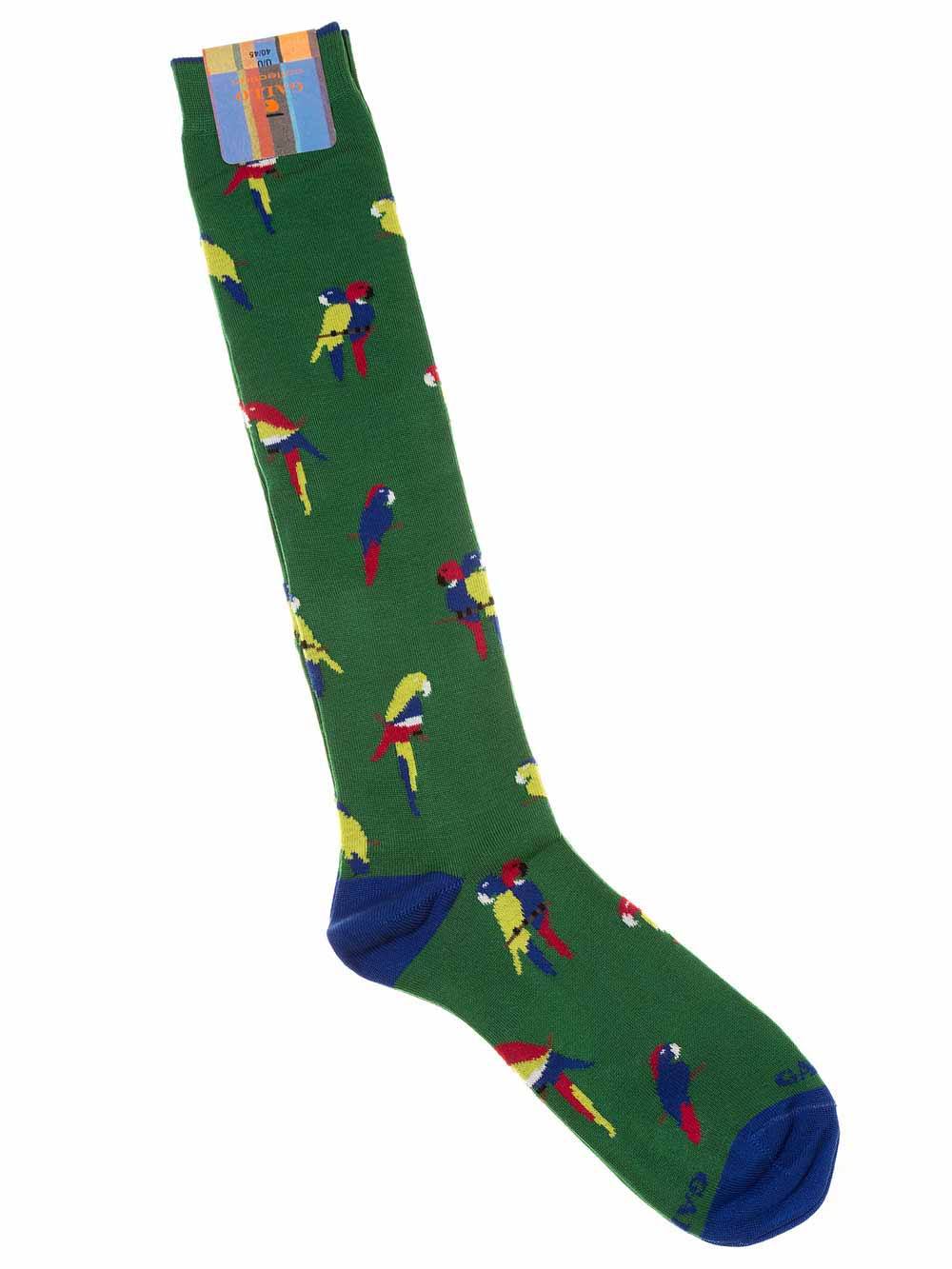 Gambaletto Uomo in Filo di Scozia Elasticizzato Verde AP502107 L2568 14697 - Gallo Gambaletto Uomo in Filo di Scozia Elasticizzato Verde AP502107 L2568 14697 - Gallo