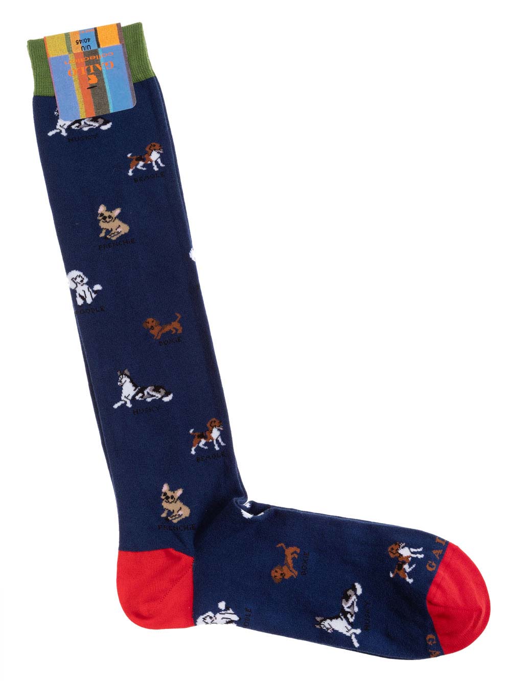 Gambaletto Uomo Gallo in Cotone Blu Fantasia Cani - AP50856830764 Gambaletto Uomo Gallo in Cotone Blu Fantasia Cani - AP50856830764