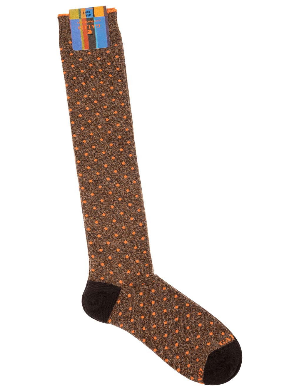 Gambaletto Uomo Gallo in Cotone Fantasia Pois Marrone - AP50845831087 Gambaletto Uomo Gallo in Cotone Fantasia Pois Marrone - AP50845831087