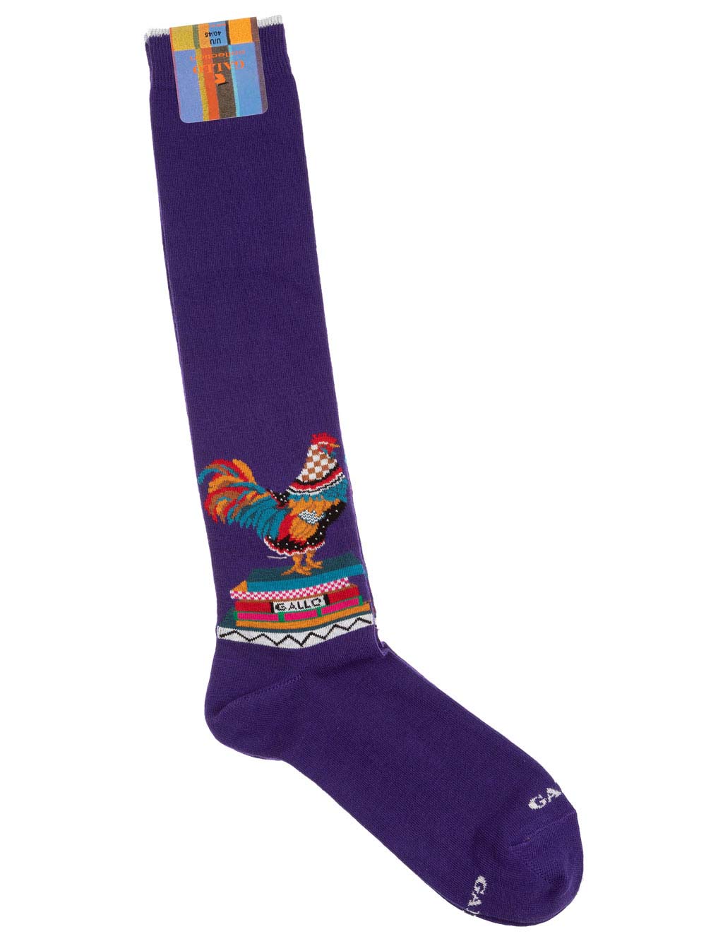 Gambaletto Uomo Gallo in Cotone Viola Fantasia Gallo - AP50855715571 Gambaletto Uomo Gallo in Cotone Viola Fantasia Gallo - AP50855715571