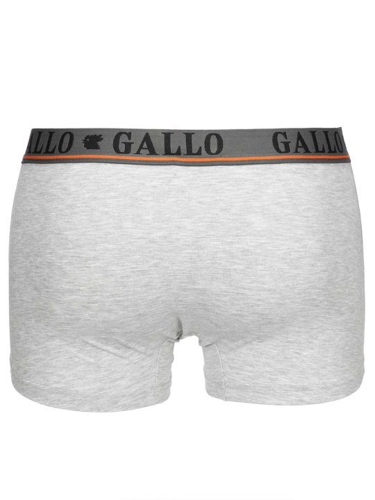 Boxer Medio Uomo Gallo Grigio - AP51084511775