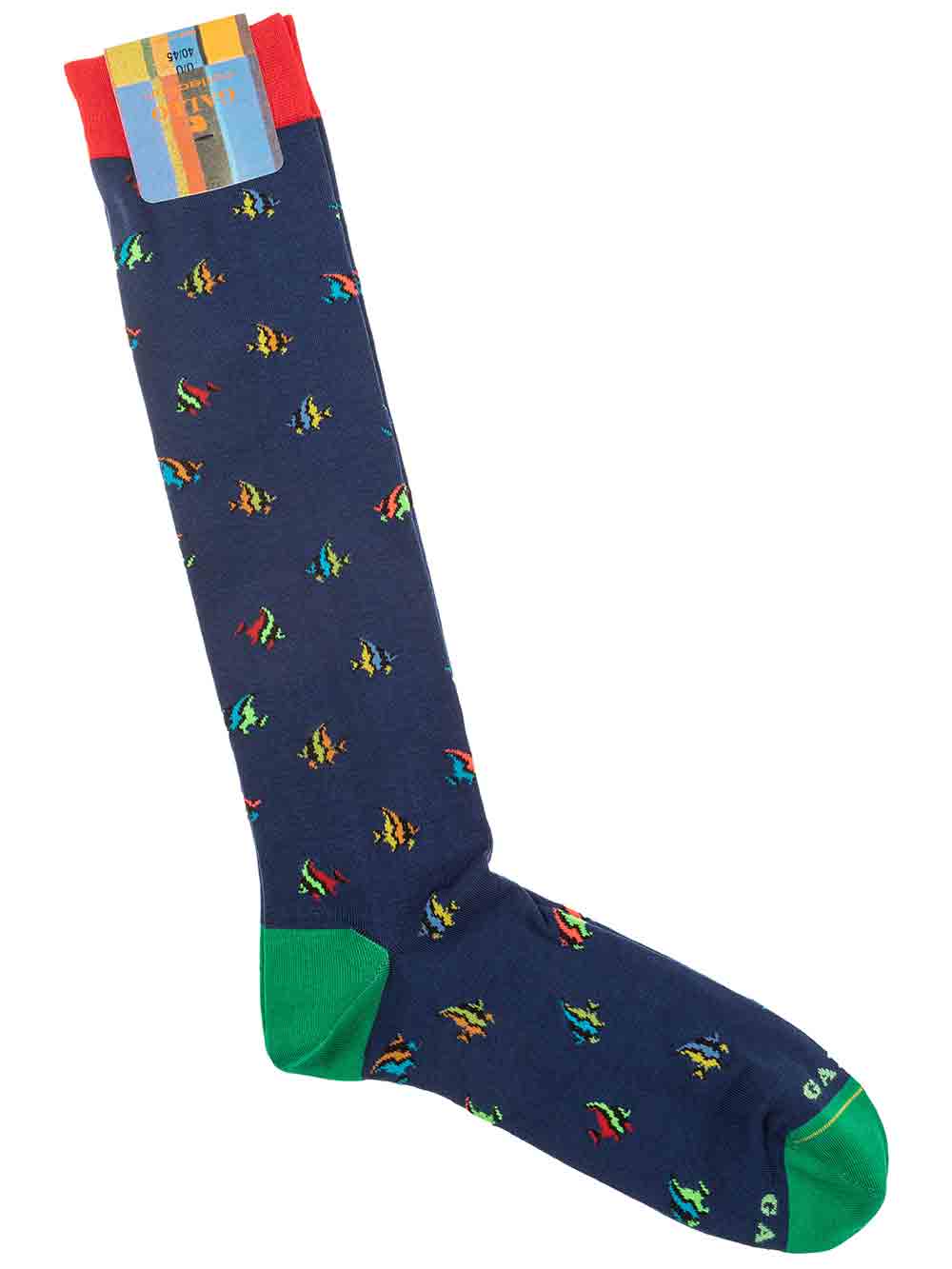 Gambaletto Uomo Gallo filo di scozia Fantasia Pesciolini Blu - AP51171012679 Gambaletto Uomo Gallo filo di scozia Fantasia Pesciolini Blu - AP51171012679