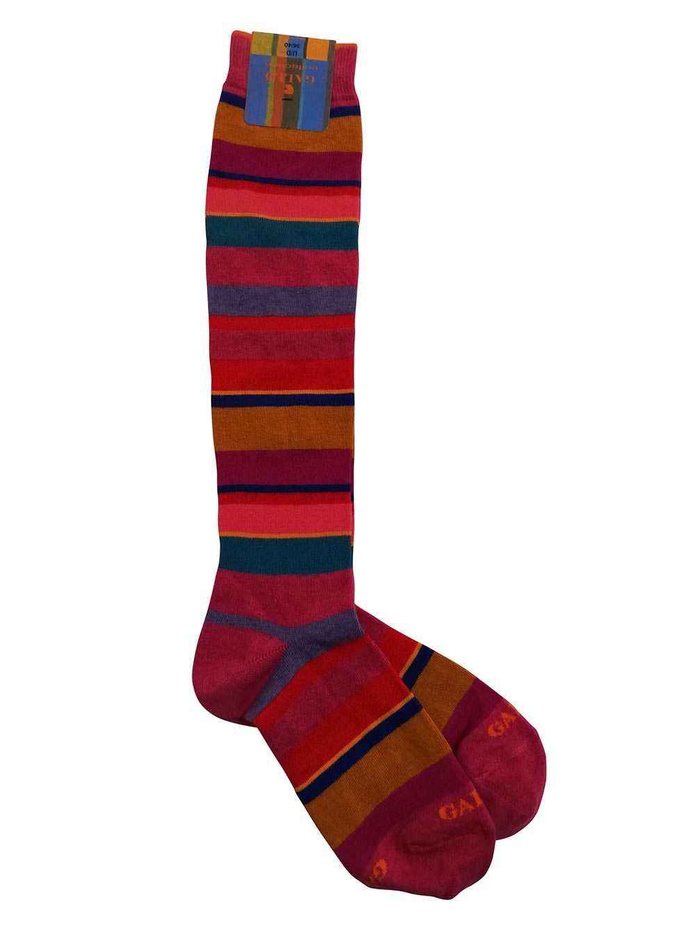 Gambaletto-Donna-Gallo-maglia-rasata-fantasia-righe-multicolor-Erica---AP51200413724 Gambaletto-Donna-Gallo-maglia-rasata-fantasia-righe-multicolor-Erica---AP51200413724